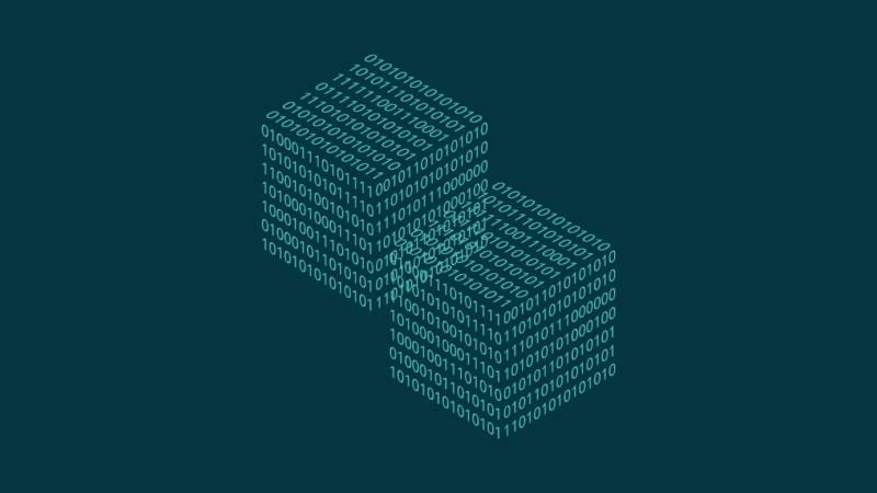 麻阳信创改造：网络应用开发流程标准化的核心路径与实践